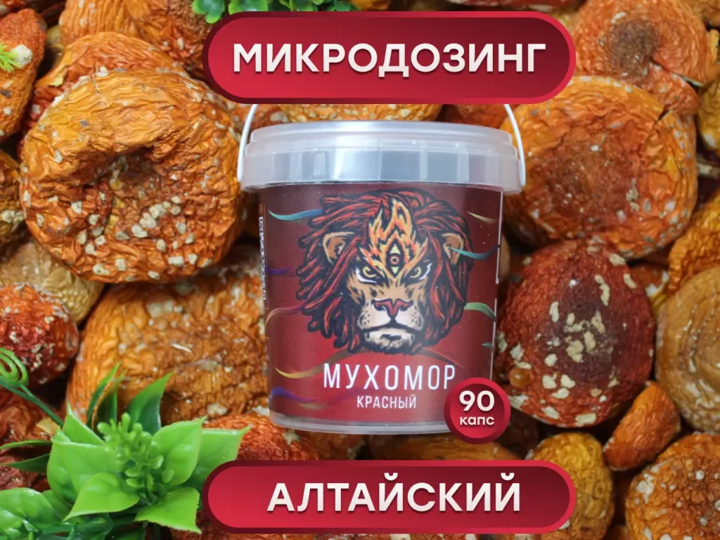 Главная