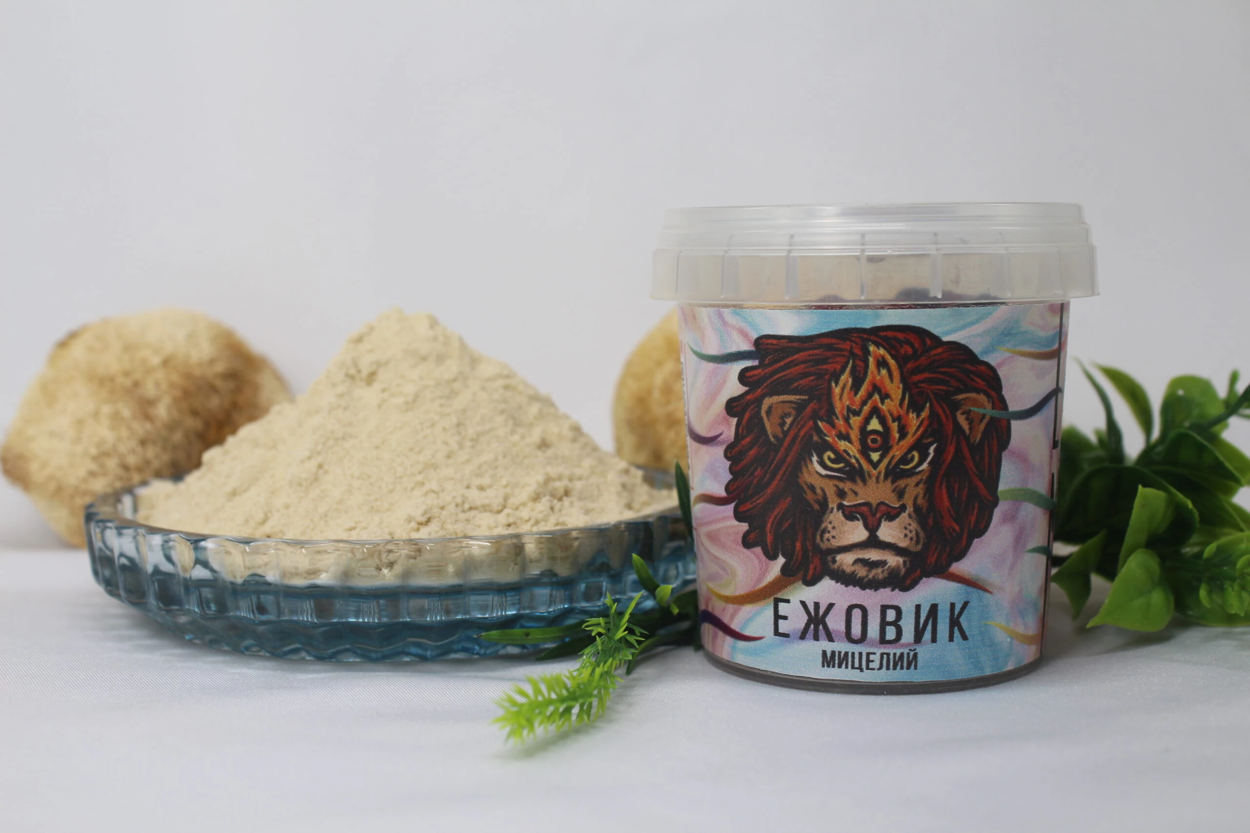 какой Ежовик лучше купить ? Узнай за 3 шага