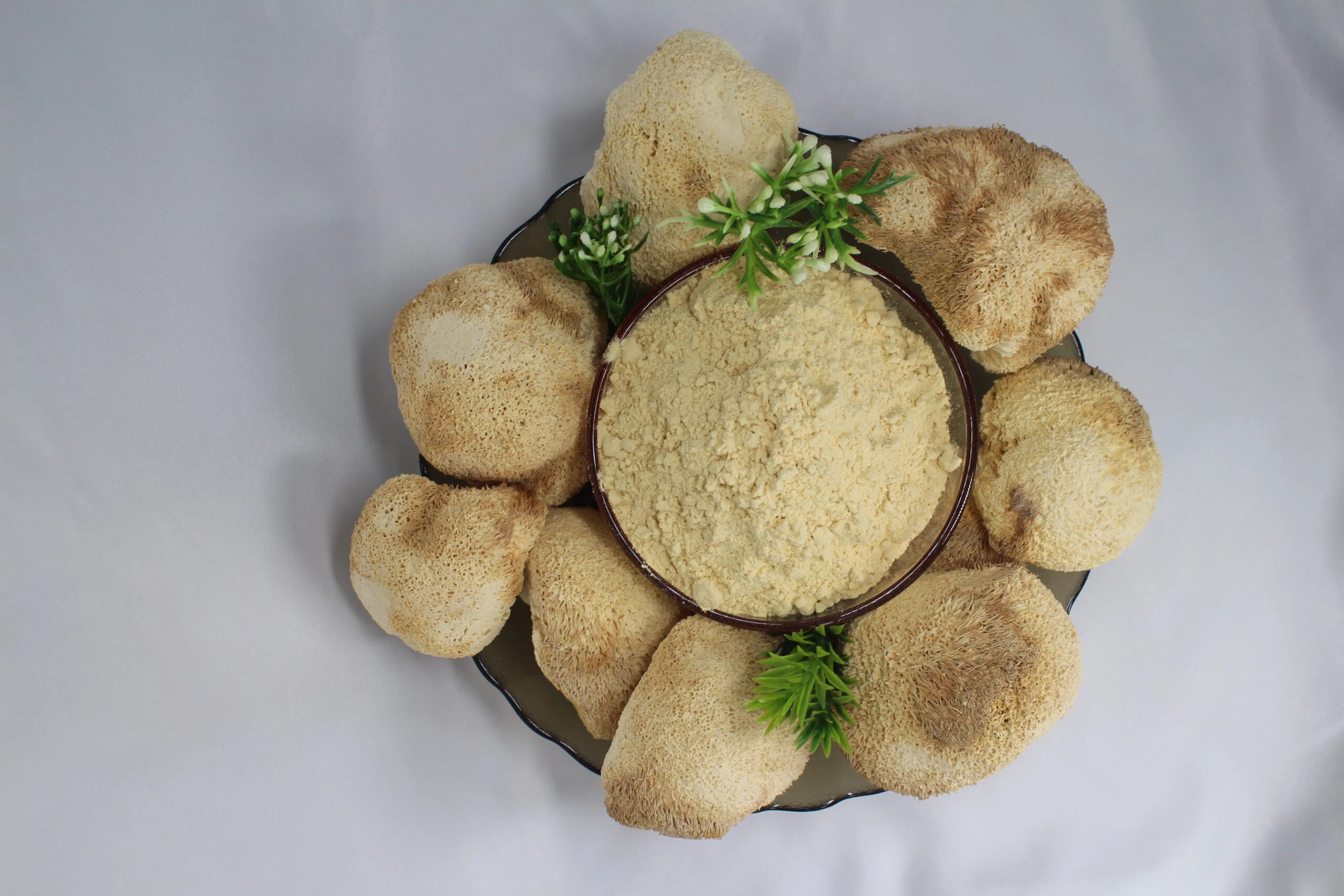 какой Ежовик лучше купить ? Узнай за 3 шага