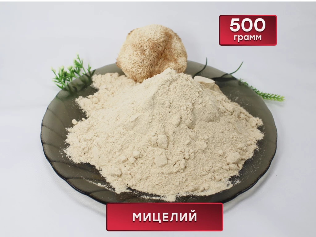 Как принимать ежовик гребенчатый? Дозировка и время