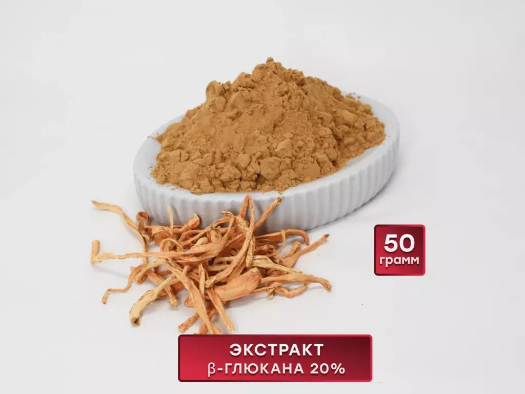 Главная