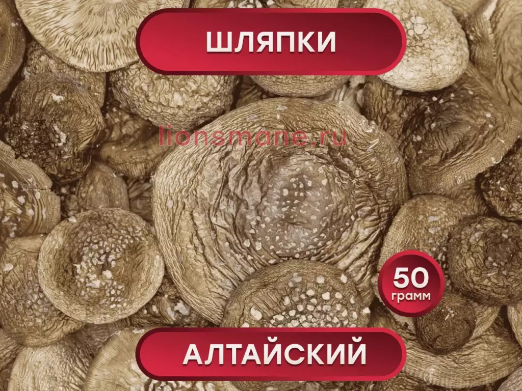 Главная