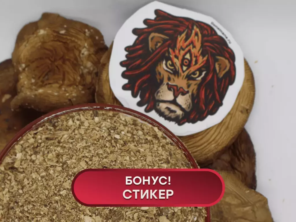 Главная