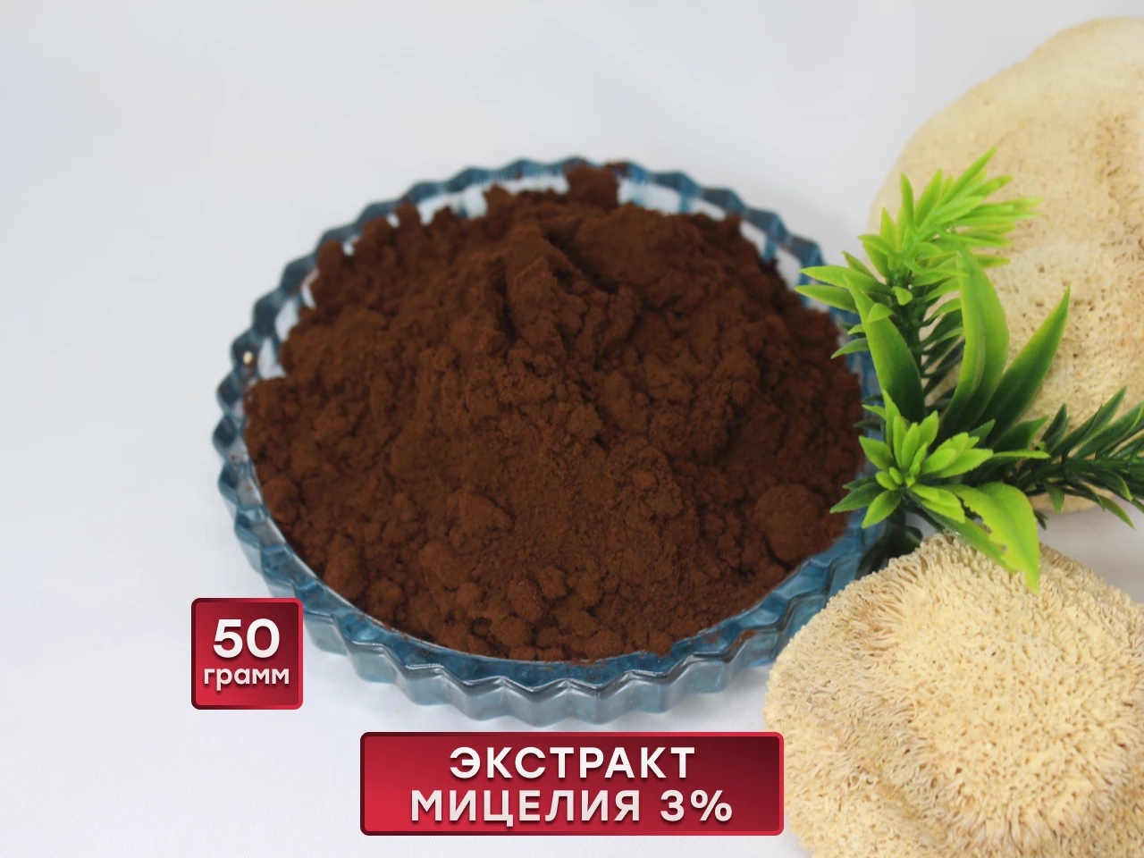 lions_eks_mic_50 экстракт мицелия ежовика 3%, 50 гр — изображение 1