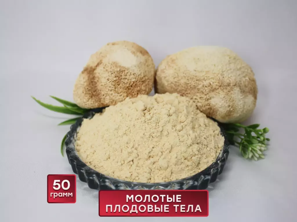 Купить Ежовик Гребенчатый