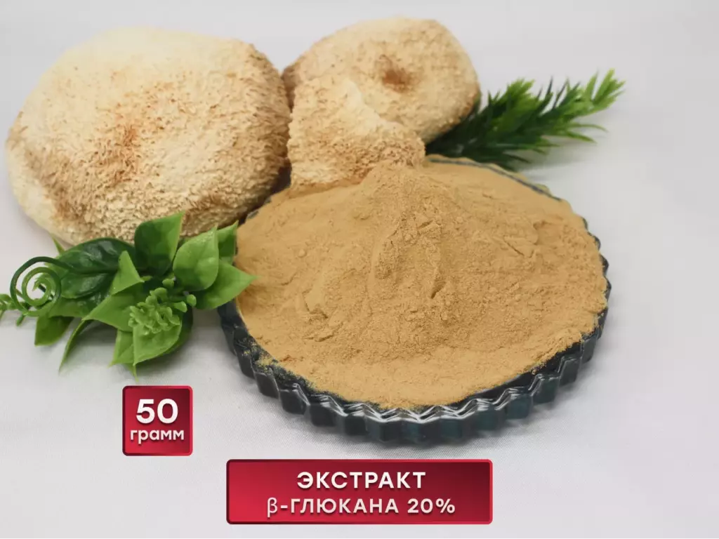 Главная